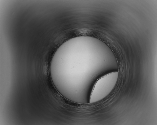 X0000094780651200711160851
