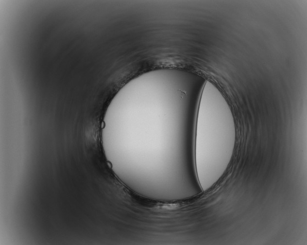 X0000094780665200711160851