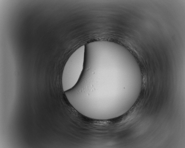 X0000094780671200711160851