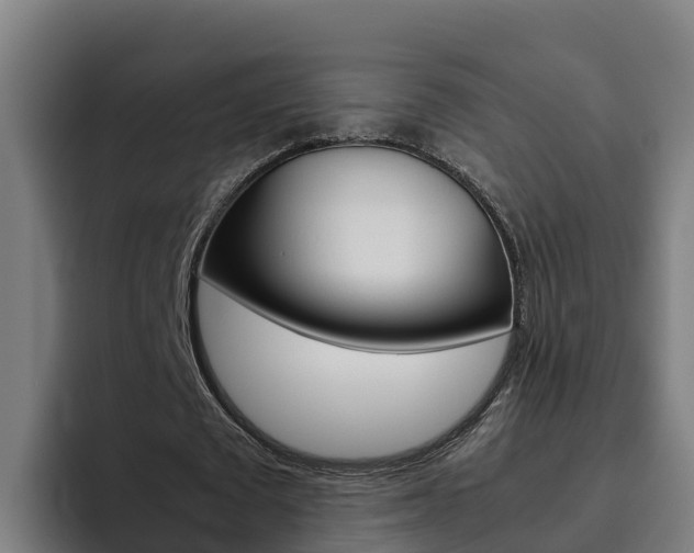 X0000094780673200711160851