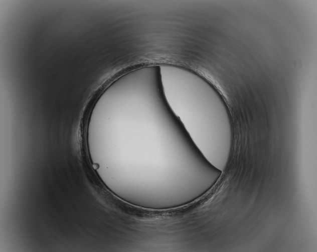 X0000094780674200711160851