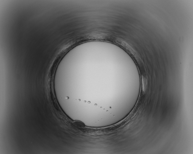 X0000094780675200711160851