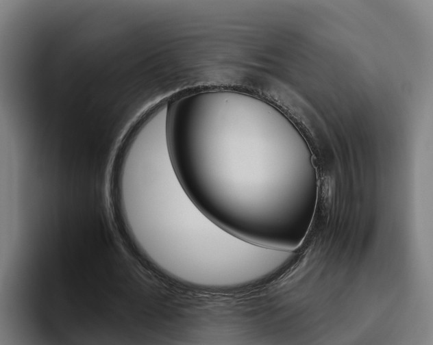 X0000094780676200711160851