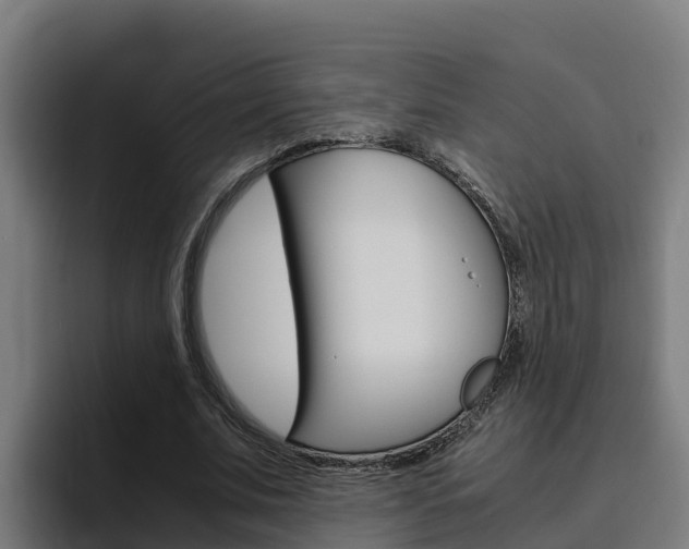 X0000094780679200711160851
