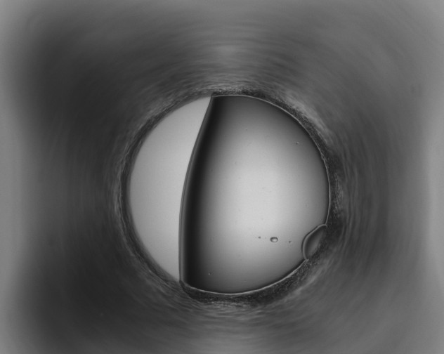 X0000094780681200711160851