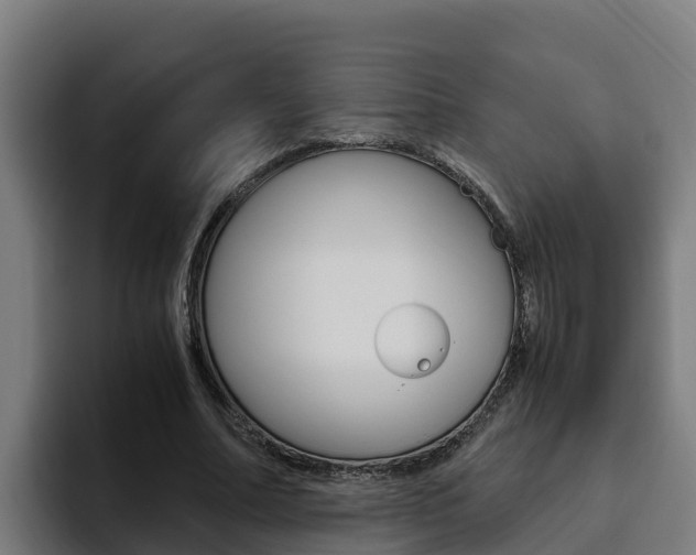 X0000094780682200711160851