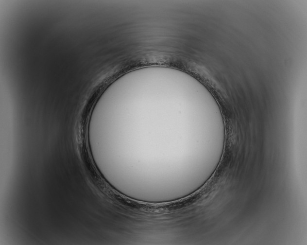 X0000094780683200711160851