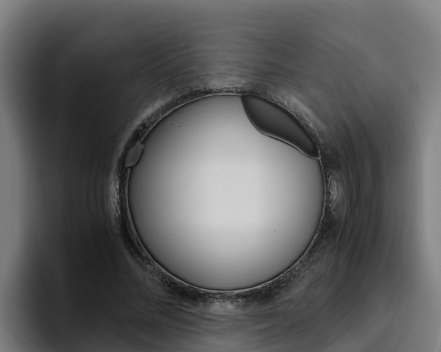 X0000094780684200711160851