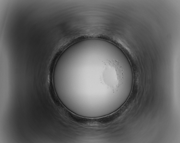 X0000094780685200711160851
