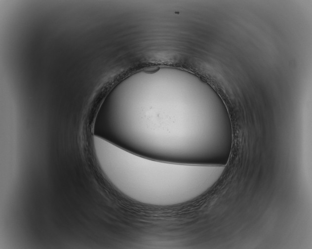 X0000094780688200711160850