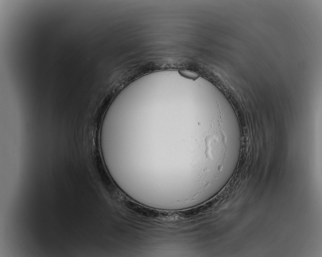 X0000094780695200711160850