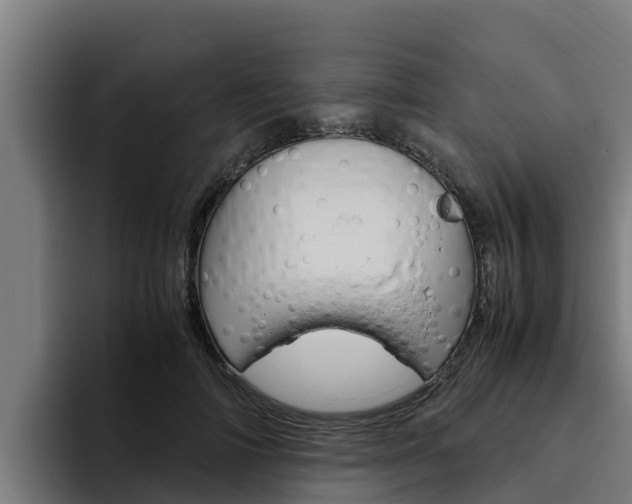 X0000094780698200711160850