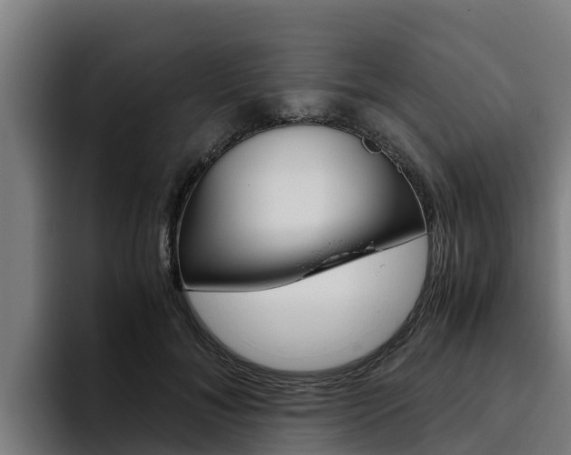 X0000094780700200711160850