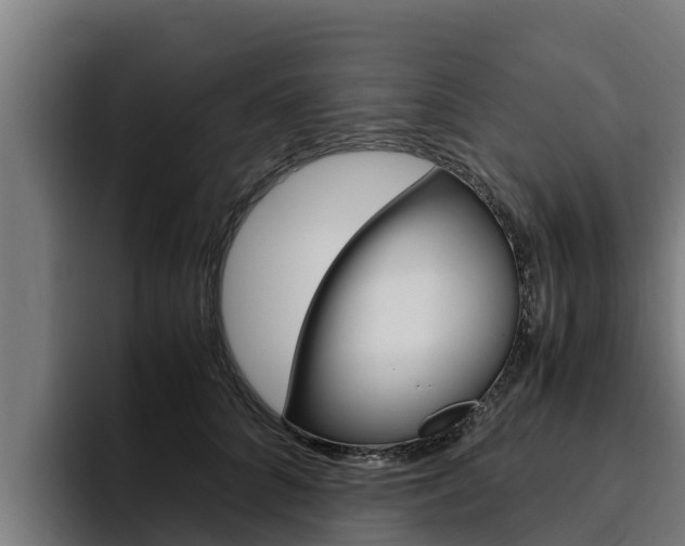 X0000094780704200711160850