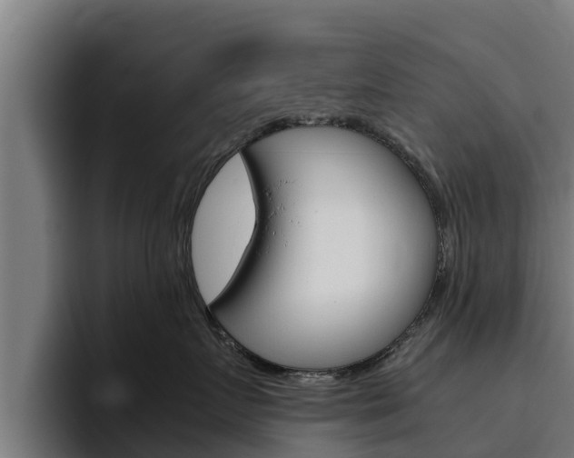 X0000094780719200711160850