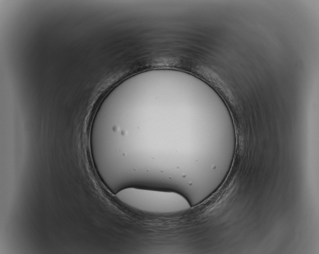 X0000094780721200711160849