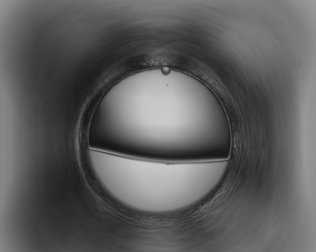 X0000094780722200711160849