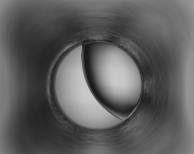 X0000094780724200711160849