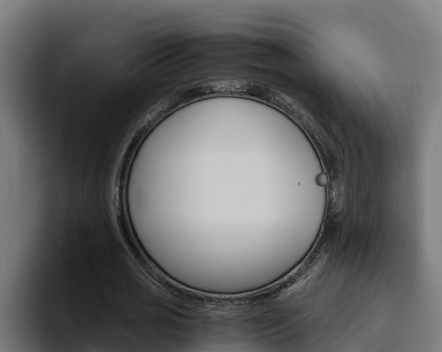 X0000094780725200711160850