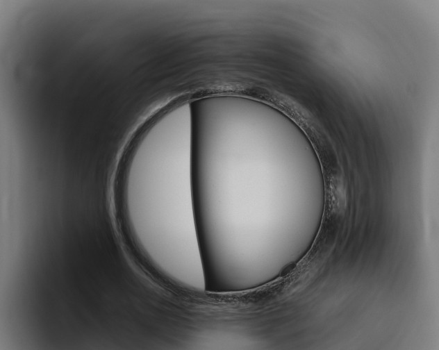X0000094780726200711160850