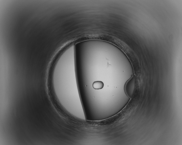 X0000094780728200711160850