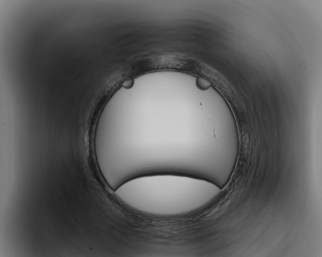 X0000094780729200711160850