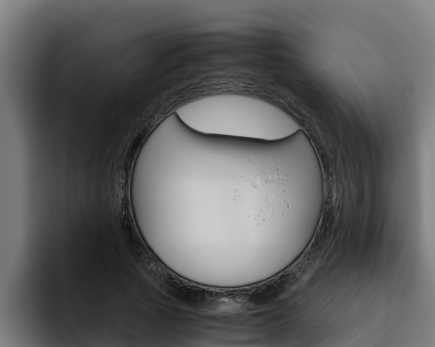 X0000094780737200711160850