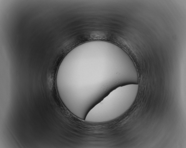 X0000094780741200711160850