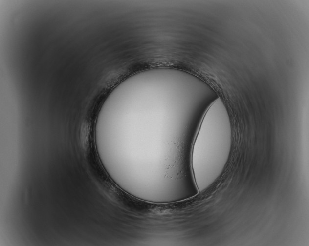 X0000094780742200711160850