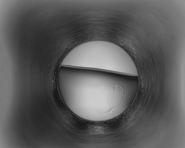 X0000094780743200711160850