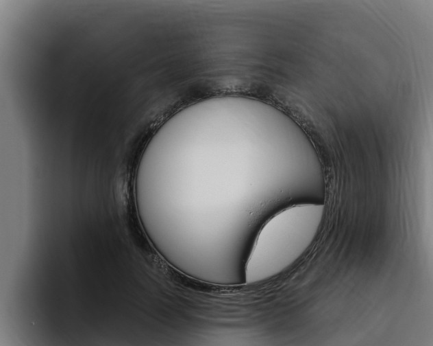 X0000094780746200711160850
