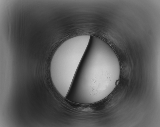 X0000094780747200711160850