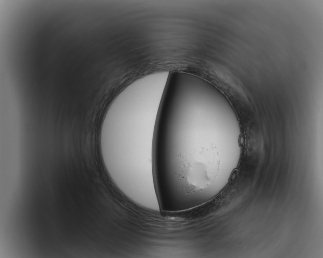 X0000094780748200711160850