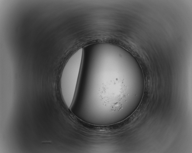 X0000094780750200711160850