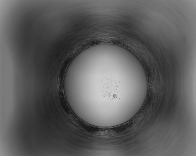 X0000094780752200711160850