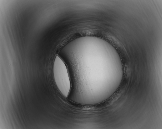 X0000094780760200711160850