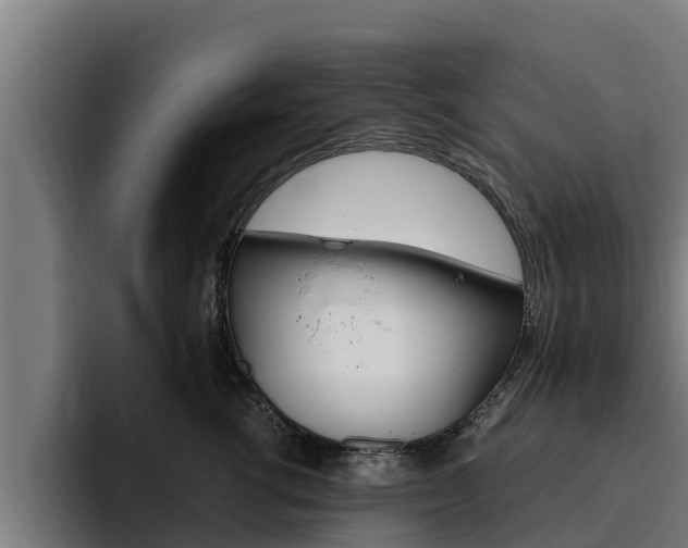 X0000094780762200711160850