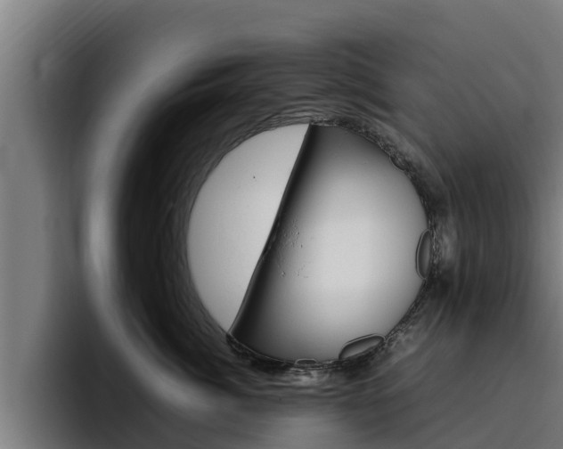 X0000094780764200711160850