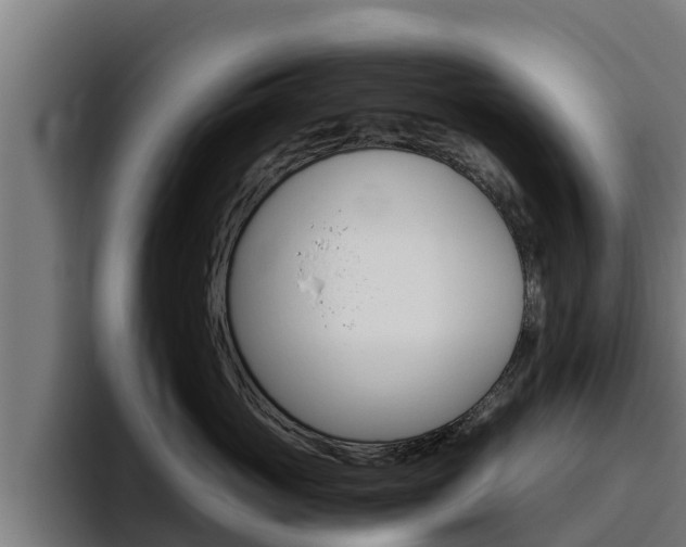 X0000094780765200711160850