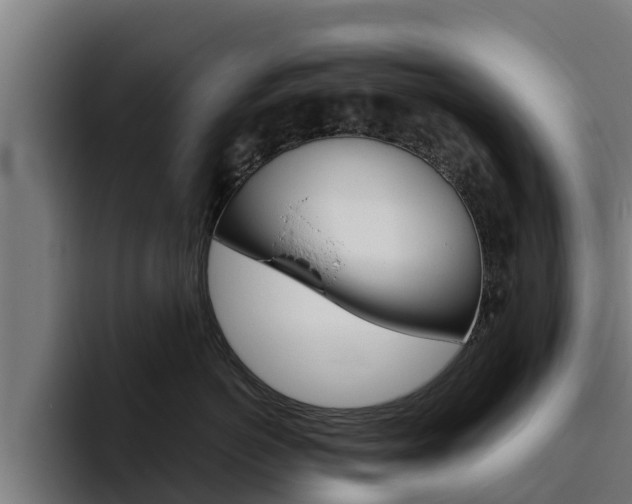 X0000094780766200711160850