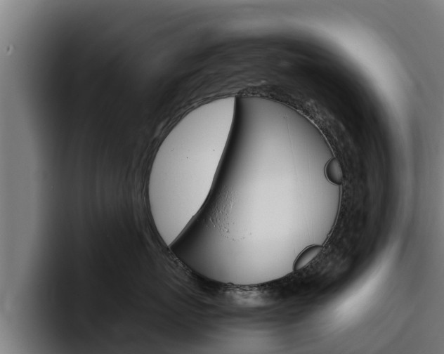 X0000094780767200711160850