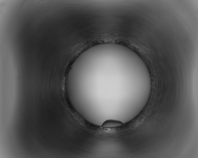 X0000094780768200711160850
