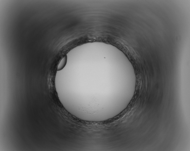 X0000094780770200711160849