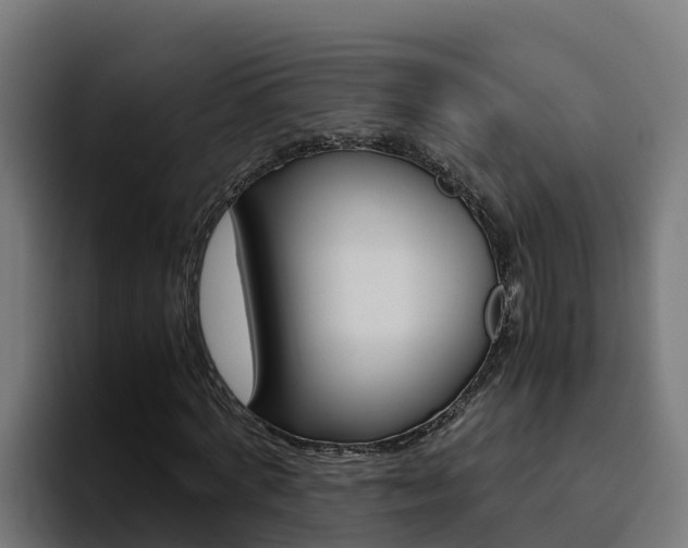 X0000094780772200711160849