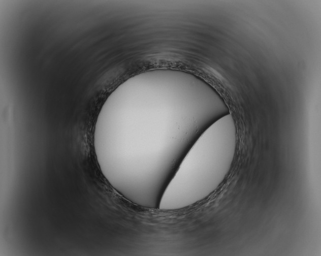 X0000094780774200711160849