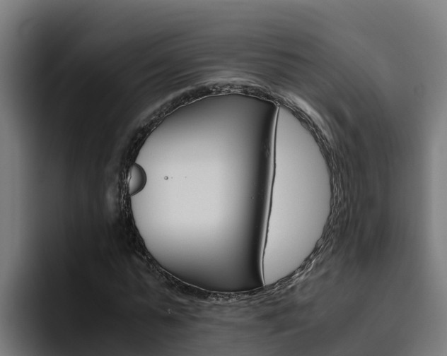 X0000094780775200711160849