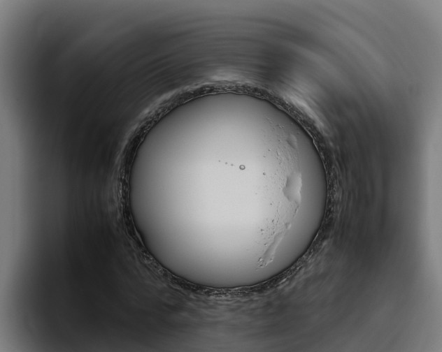 X0000094780776200711160849