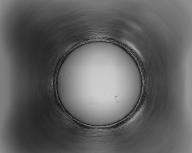 X0000094780777200711160849