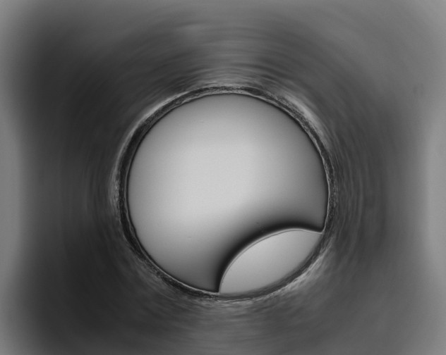 X0000094780779200711160849