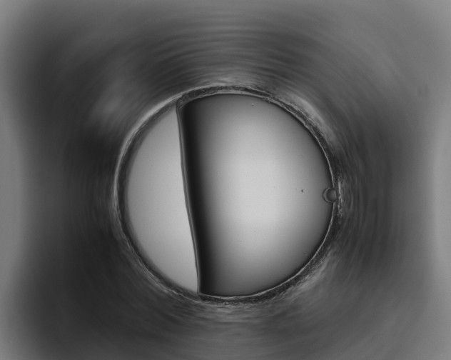 X0000094780780200711160849